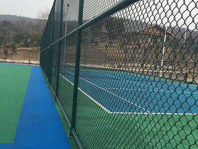 體育圍網(wǎng)圖片1