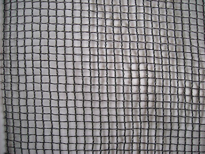 方格網(wǎng)片圖片1