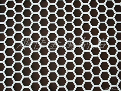 六角孔鋼鋁金屬板網(wǎng)圖片3