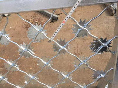 太陽花美格網(wǎng)圖片2