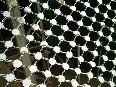 太陽花美格網(wǎng)圖片4